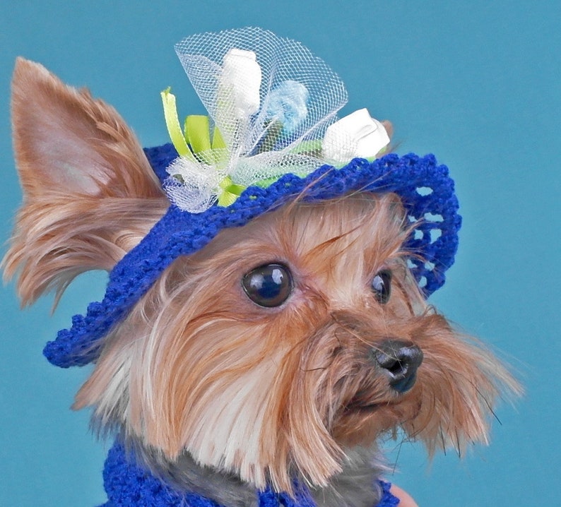 Hat for Dog Pet Clothes Dog Hat & Dress Set Puppy Dress S Size Etsy