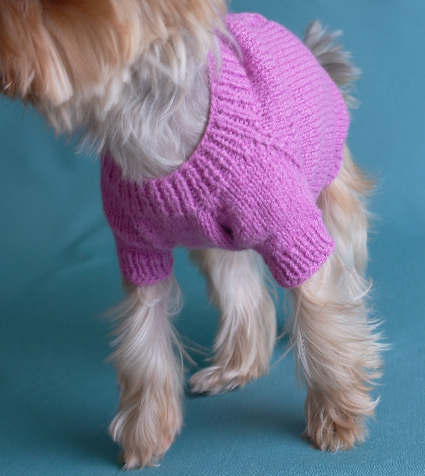 Pet clothes Dog knit socks sweater set Dog clothing Puppy Etsy