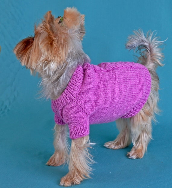sock sweater for puppy