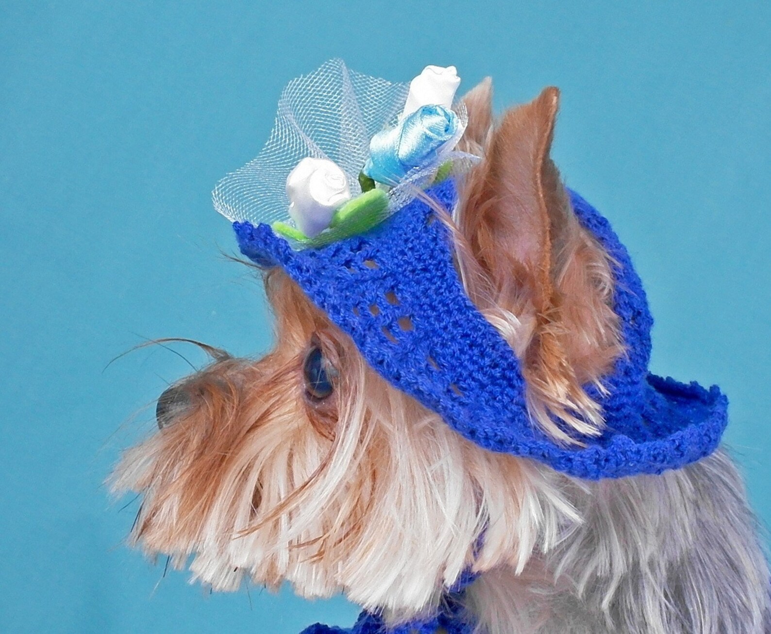 Hat for Dog Pet Clothes Dog Hat & Dress Set Puppy Dress S Size Etsy