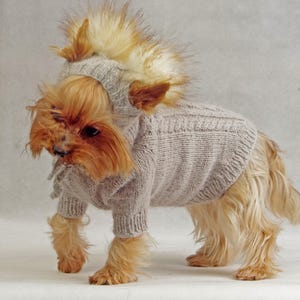 Dog clothing Puppy sweater XS, Pet clothes Dog knit cap sweater set, Yorkshire Terrier Clothes , coat pet  jumper puppy , Outfit small