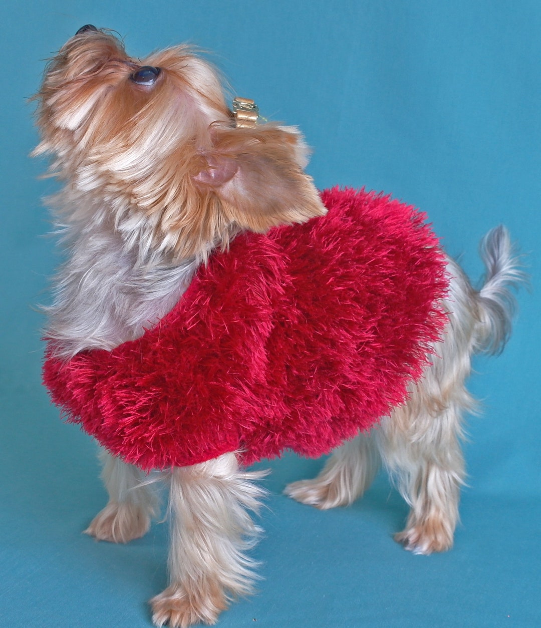 Dog Cat Knit Coat, Small Dog Clothing, XS Size, Pet Clothes , Puppy