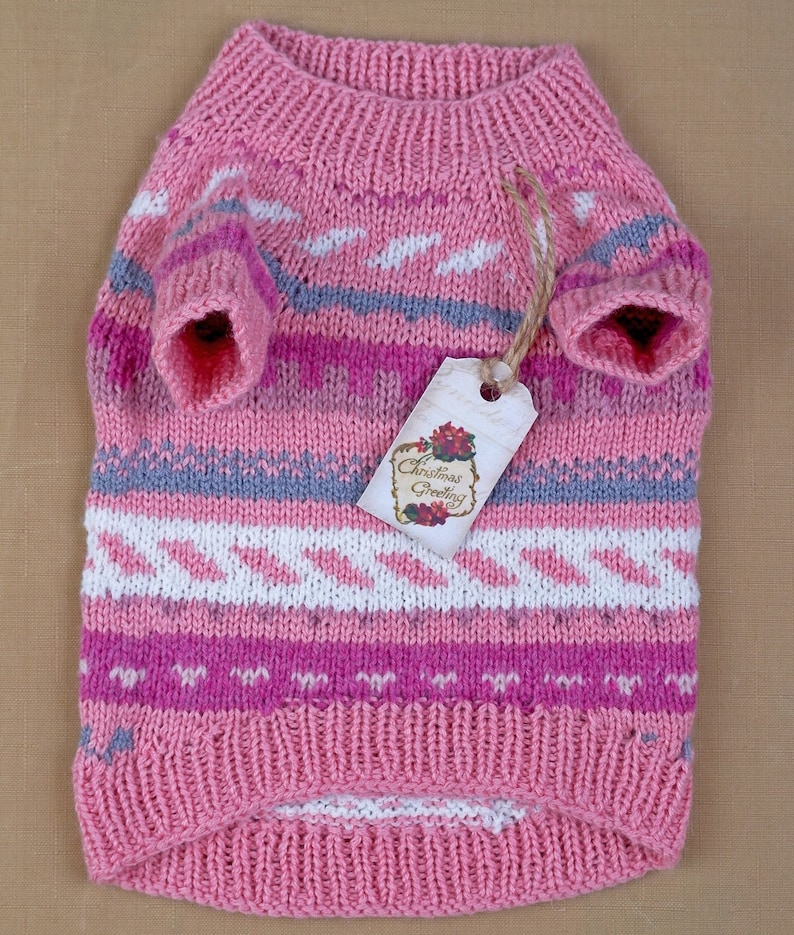 Yorkshire Terrier Clothes coat pet jumper puppy XS Outfit small Pet clothes Dog knit cap sweater set Dog clothing Puppy sweater