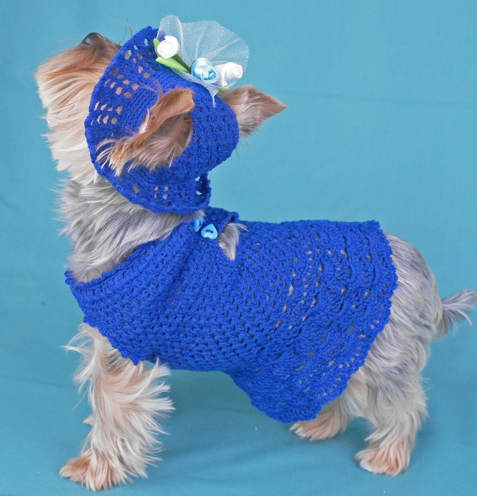 Hat for Dog Pet Clothes Dog Hat & Dress Set Puppy Dress S Size Etsy