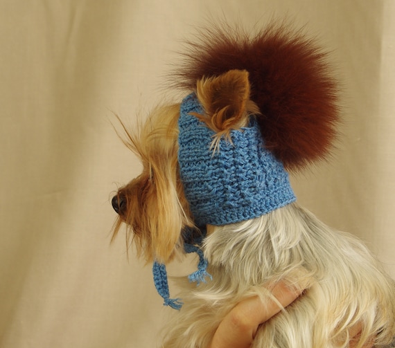 Tricot Manteau Pour Yorkshire Terrier Ensemble De Pull En Tricot