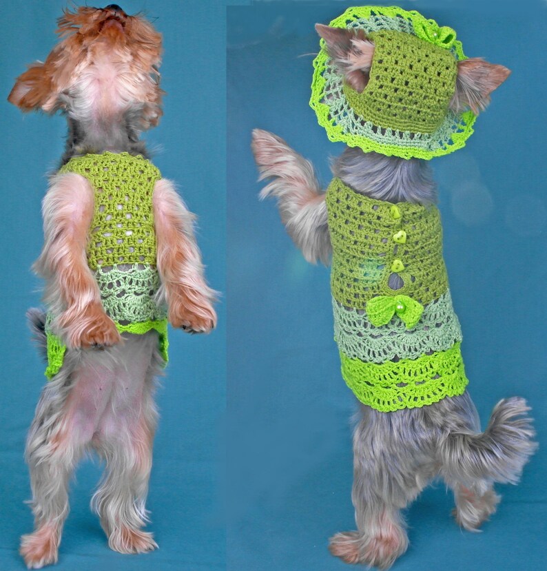 Dog Hat Dress Set Outfit Clothes , Dog Dress Size XXS Yorkshire Terrier
