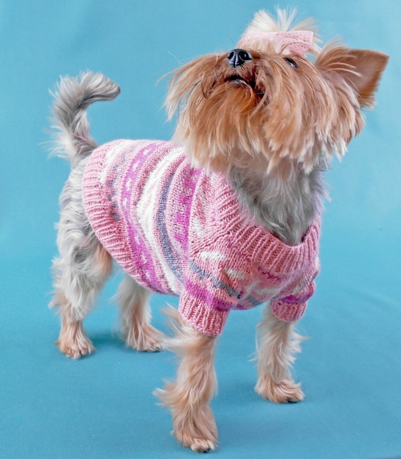 Yorkshire Terrier Clothes coat pet jumper puppy XS Outfit small Pet clothes Dog knit cap sweater set Dog clothing Puppy sweater