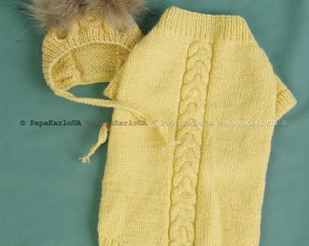 Handmade Wool Dog Sweater: XXS, XS, S, M Crochet Pet Outfit, Knitted Pet Coat