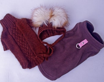 Conjunto de suéter y chaleco de punto para perro XXS: Conjunto de lana para cachorro hecho a mano, abrigo de punto para mascota