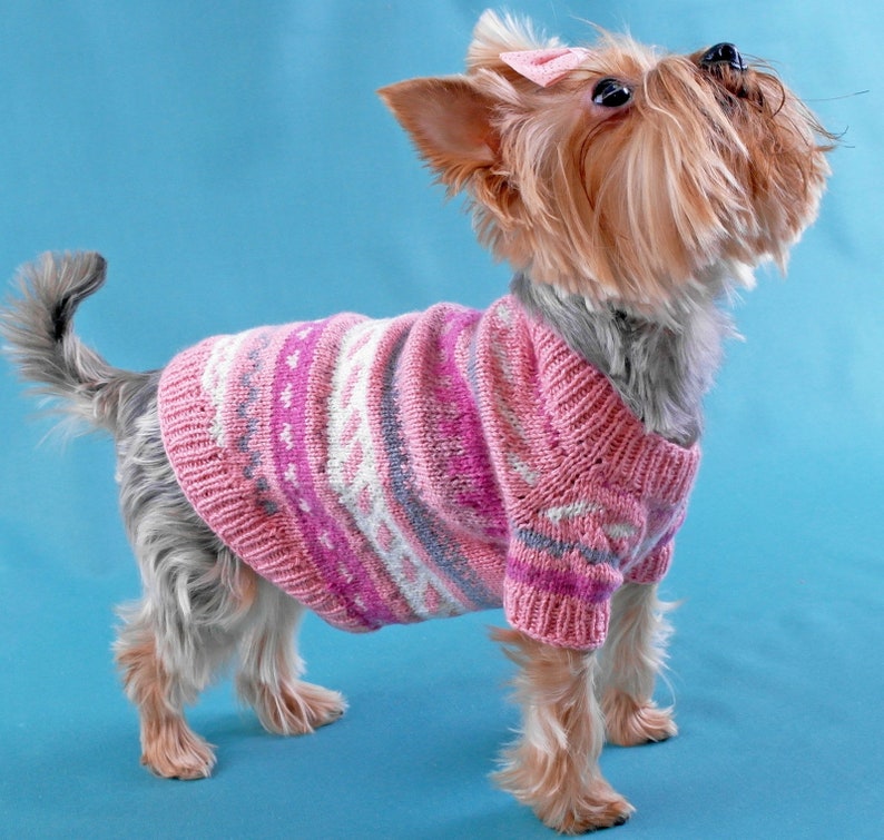 Yorkshire Terrier Clothes coat pet jumper puppy XS Outfit small Pet clothes Dog knit cap sweater set Dog clothing Puppy sweater