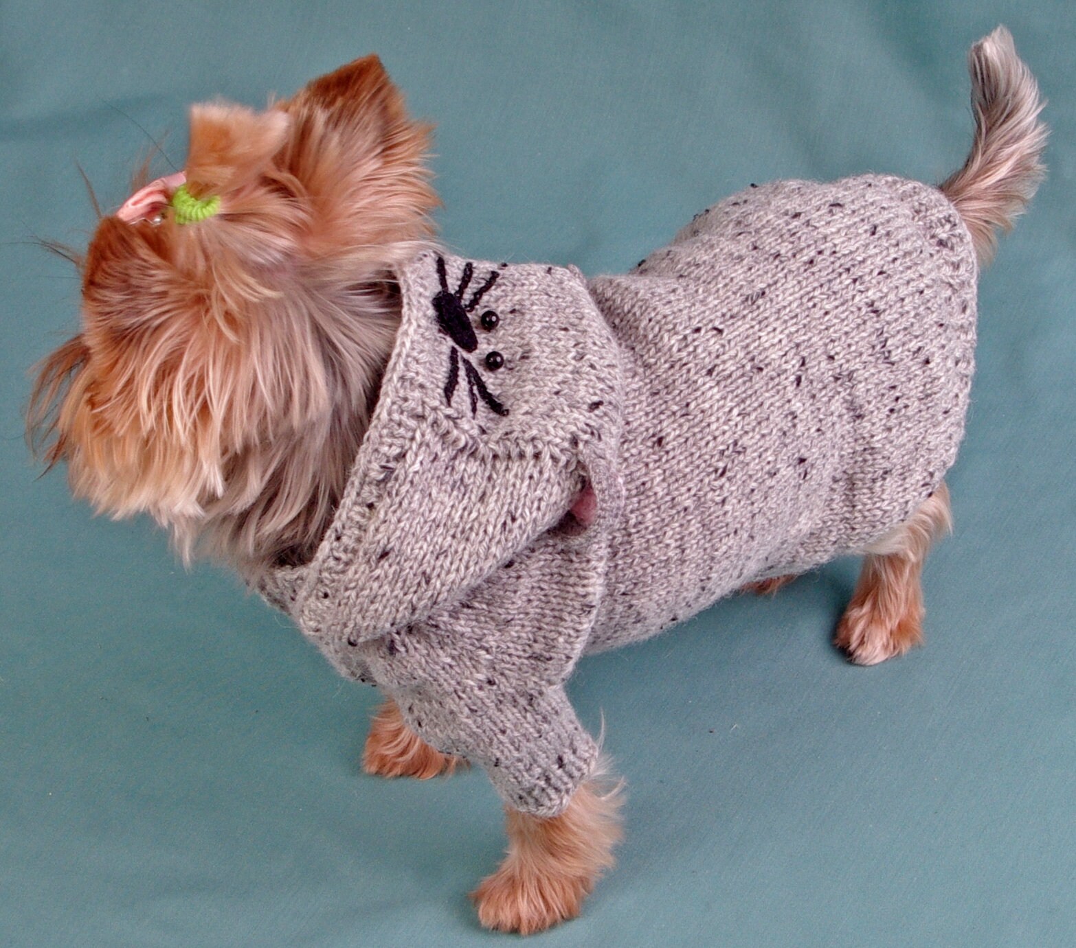 Small Dog Cat Hooded Sweater, Size M, S, XS, Dog Clothing, Pet Clothes