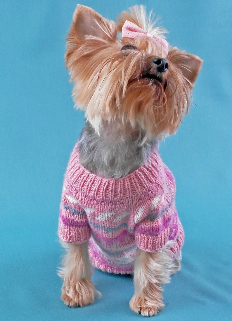 Yorkshire Terrier Clothes coat pet jumper puppy XS Outfit small Pet clothes Dog knit cap sweater set Dog clothing Puppy sweater