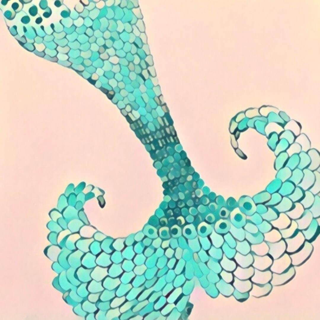 Mermaid Tail Printable Art - Etsy