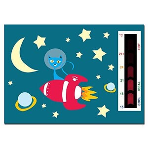 Baby Rocket, Cat, Moon & Stars Nursery Room Termometro Card