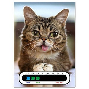 Baby Safe Ideas Meow Cat Nursery Room Termometro Card