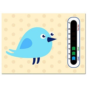 Baby Safe Ideas Blue Bird Nursery Room Termometro Card