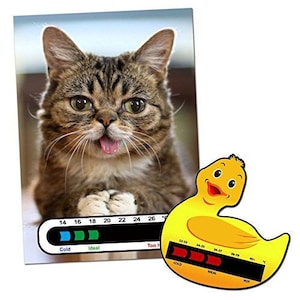 Kitty Thermometer Card per Baby Room Nursery & Duck Baby Bath Thermometer Card Pack