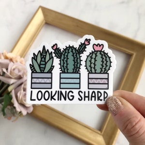 May include: A white sticker with three potted cacti and the text "LOOKING SHARP". The cacti are green with pink flowers and are in gray, blue, and purple pots with geometric patterns.