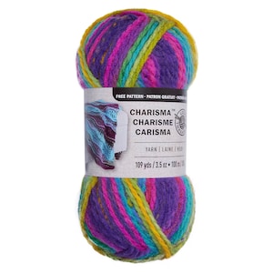 May include: A skein of multi-colored yarn in shades of purple, pink, yellow, green, and blue. The yarn is called "Charisma" and is 109 yards / 3.5 ounces.