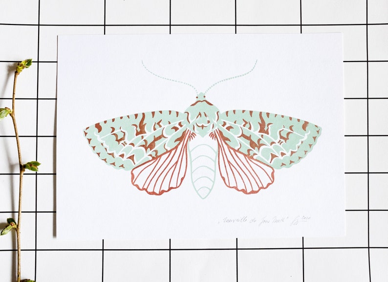 Merveille Du Jour Moth screenprint mint green / copper metallic image 1