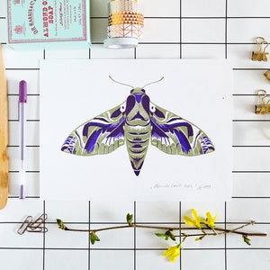 Set of 2 to 6 // Jewel Moth Series Screenprints matte / metallic image 6