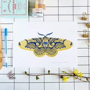 Set of 2 to 6 // Jewel Moth Series Screenprints matte / metallic image 8