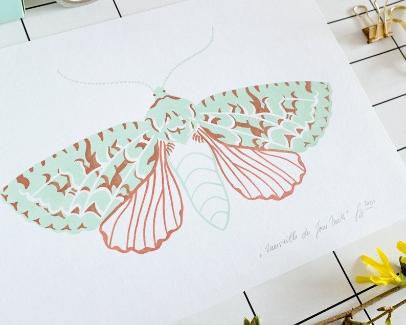 Merveille Du Jour Moth screenprint mint green / copper metallic image 4