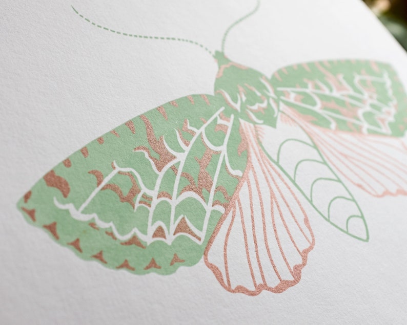 Merveille Du Jour Moth screenprint mint green / copper metallic image 5