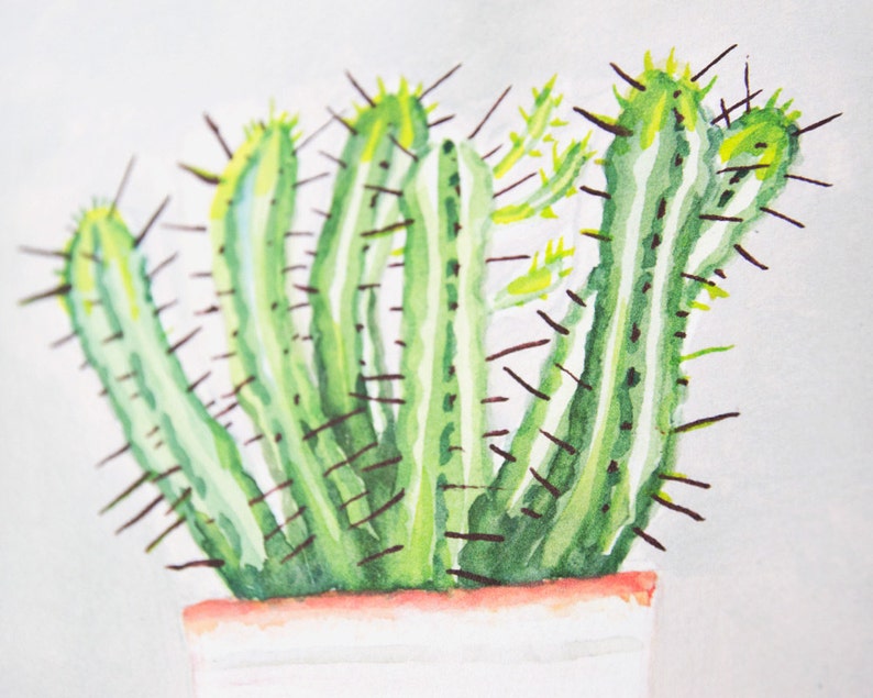 Plant on my window sill no. 2 // print, watercolor image 3