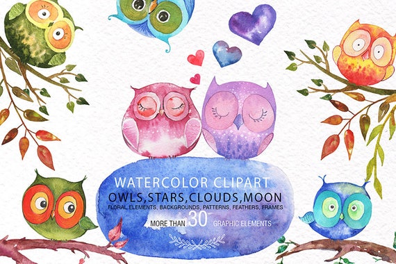 Download Owls Watercolor Clipart Forest Birds Woodland Wild Animals Etsy