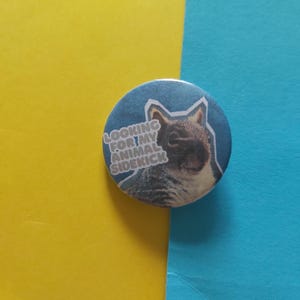 Looking For My Animal Sidekick Funny Squirrel nature Fun Novelty photo collage 32mm button badge pin Ground Tree British Wildlife