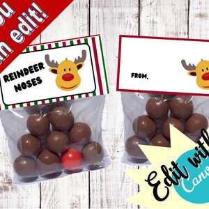 Reindeer Noses - goody bags - bag toppers