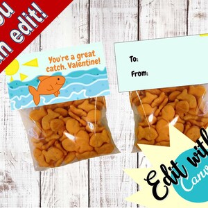You&#39;re A Great Catch! Goldfish bag - goody bags - bag toppers - Valentines Day