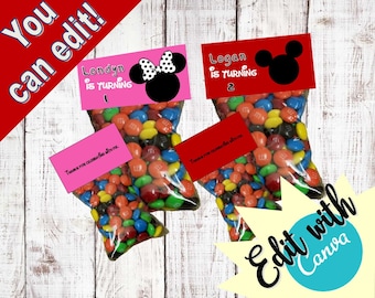 Mickey OR Minnie Inspired goody bags - bag toppers