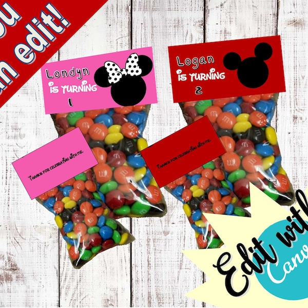 Mickey OR Minnie Inspired goody bags - bag toppers