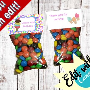 Ice Cream Birthday goody bags - bag toppers