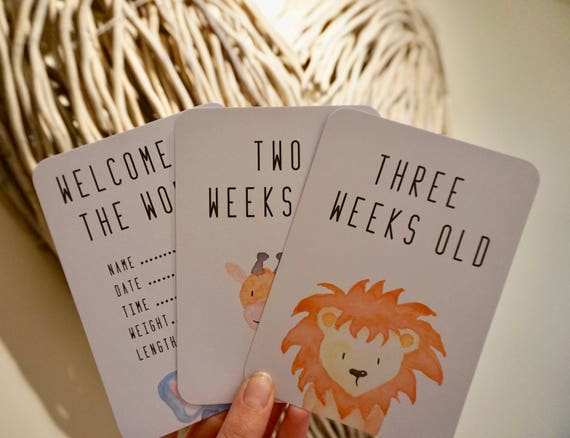 baby milestone cards etsy