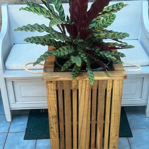 Pode incluir: Uma planta em vaso com folhas verdes e bordô em um plantador de madeira rústico. O plantador é feito de ripas de madeira verticais e tem formato quadrado. A planta é colocada em um banco branco com uma parede de pedra ao fundo.