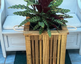 May include: A Calathea plant with green and burgundy leaves in a wooden planter. The planter is made of vertical wooden slats and has a square shape. The plant is placed on a white bench with a stone wall in the background.