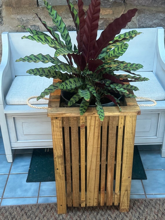 Large Custom Made Wood Planter -designed to Hold a Large Nursery Plant or  Shrub - Etsy
