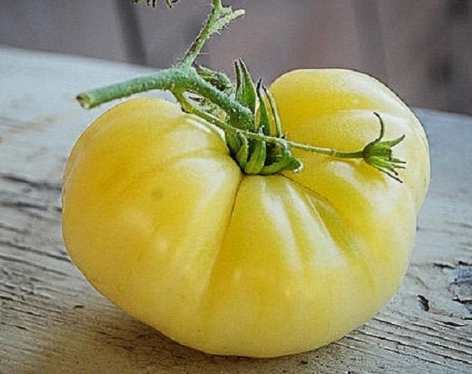 Laotian Phantom Tomato Phantome du Laos Tomate Organic Non-GMO Heirloom Seeds 2026