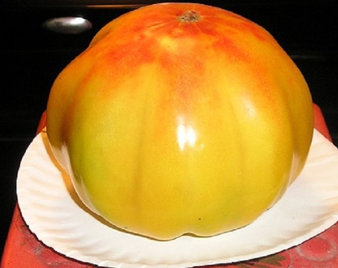 Virginia Sweets ORGANIC Tomato Heirloom Seeds 2026