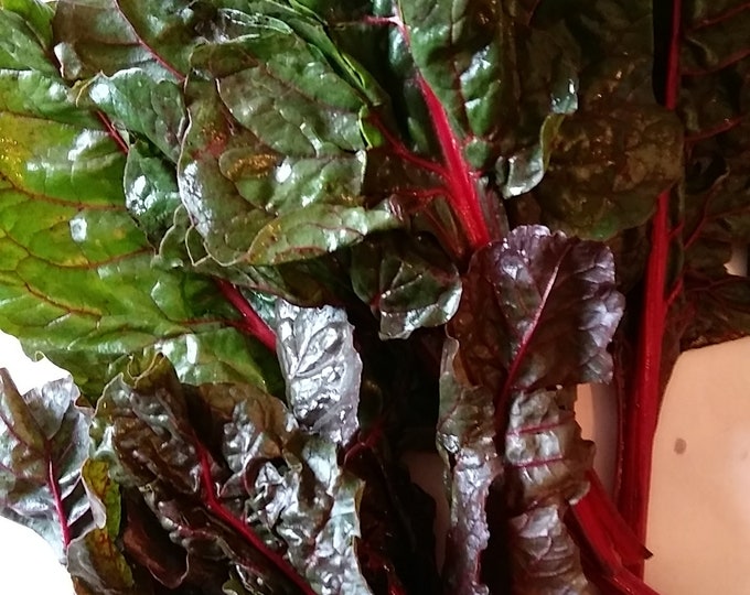 Rhubarb Ruby Red Swiss Chard ORGANIC non-GMO Heirloom Seeds 2025