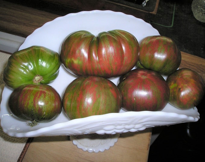 Berkeley Tie Dye Beefsteak ORGANIC Tomato Heirloom Non-GMO Seeds 2025