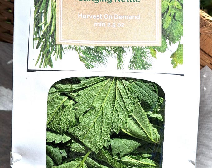 Stinging Nettle Urtica Dioica Herb ORGANIC Heirloom Fresh Harvest On Demand 2026