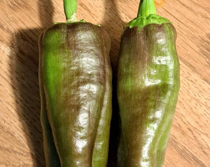 Cubanelle Heirloom Organic Pepper non-GMO Seeds 2026