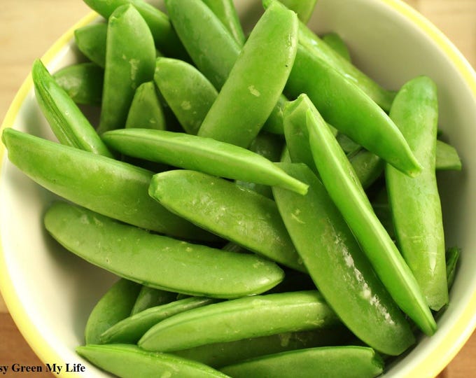 Sugar Snap Pea Organic Heirloom Non-GMO Edible Pod 2026
