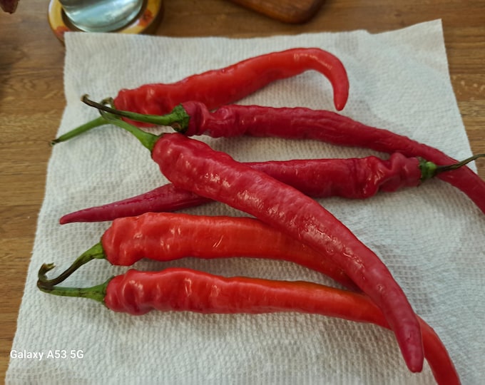 Mr D's Long Red Cayenne Pepper Non-GMO Heirloom Seeds 2025
