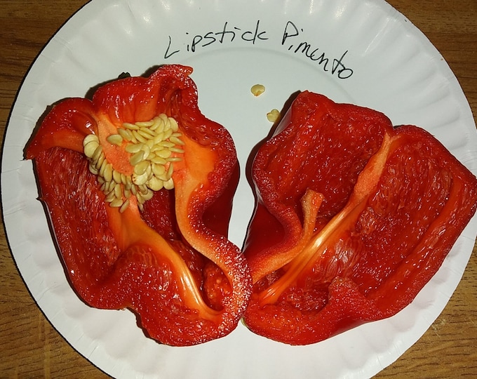 Lipstick Pimento Sweet Pepper CherryGal Organic Heirloom Seeds 2026