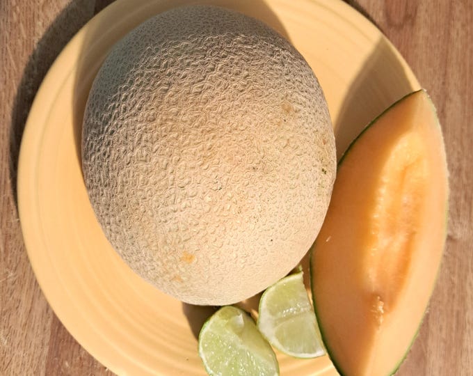 Delicious Cantaloupe ORGANIC Heirloom non-GMO Melon Seeds 2026